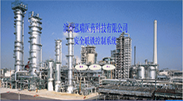 山東泓瑞醫(yī)藥科技股份公司（安全聯(lián)鎖控制系統(tǒng)）